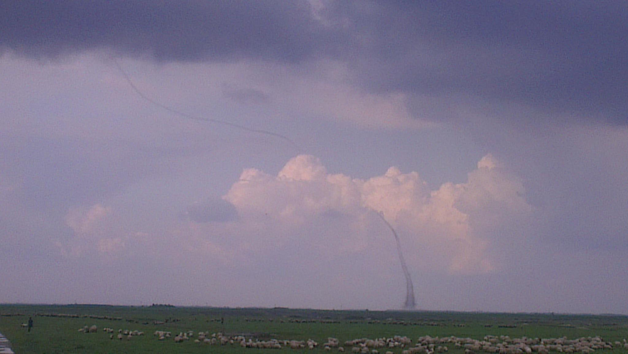 Fenomene meteo extreme in toata tara. Grindina cat oul de porumbel in Timisoara iar in Arad a fost surprinsa o mini "tornada"