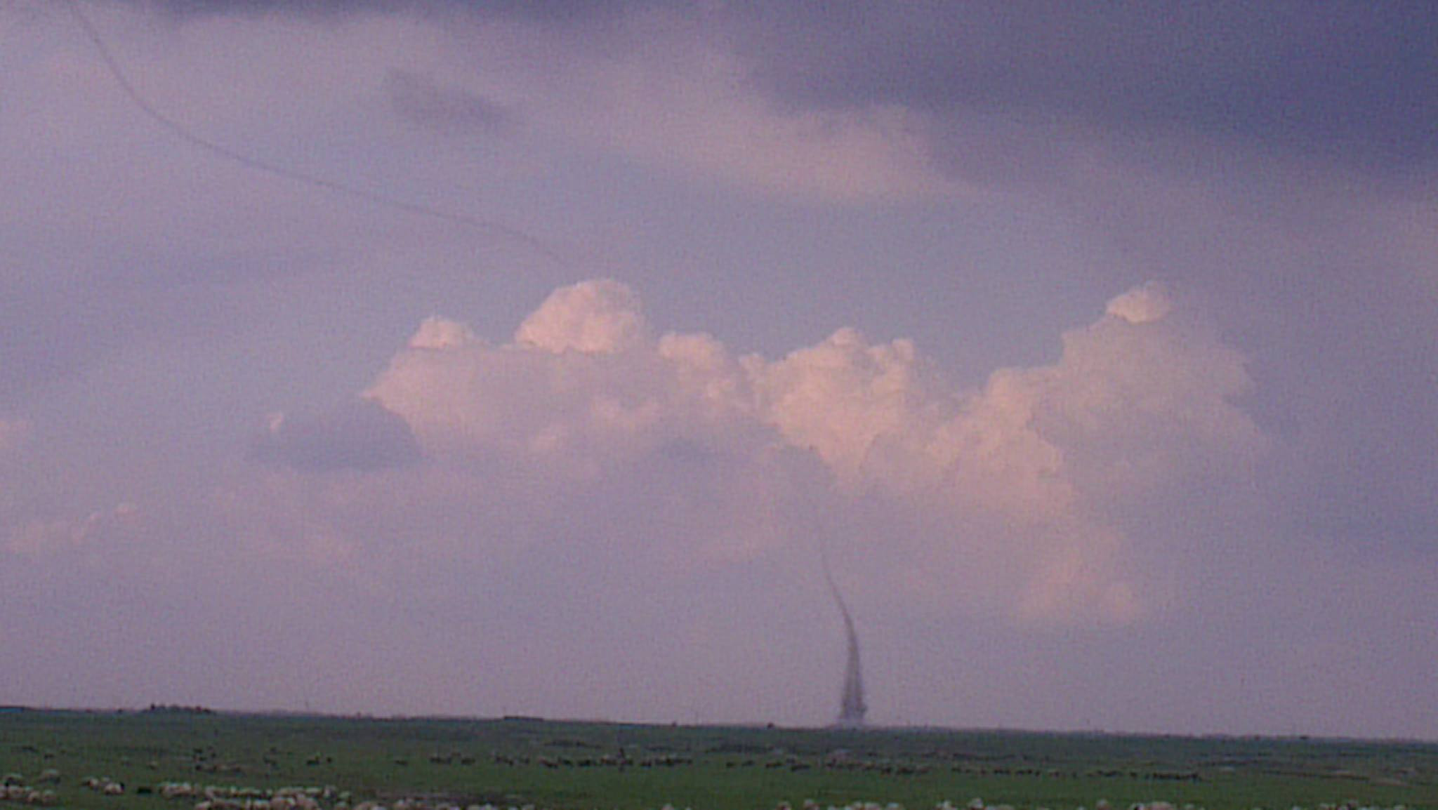 mini tornada, Nadlac, Arad - 4