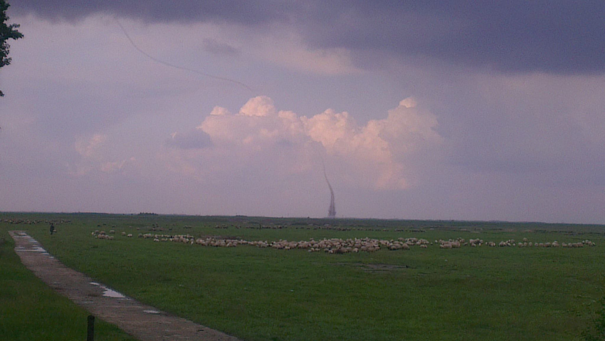 mini tornada, Nadlac, Arad - 5