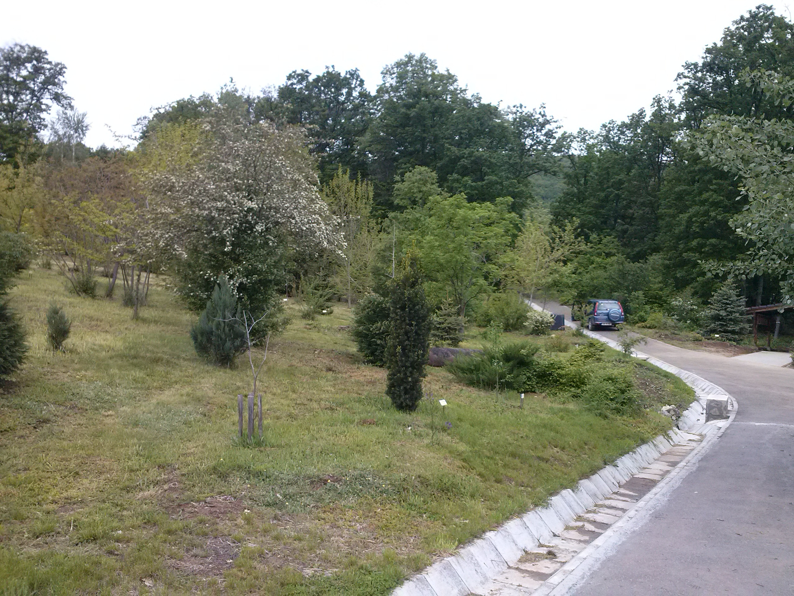 Raiul verde din inima orasului Alba Iulia va fi deschis publicului