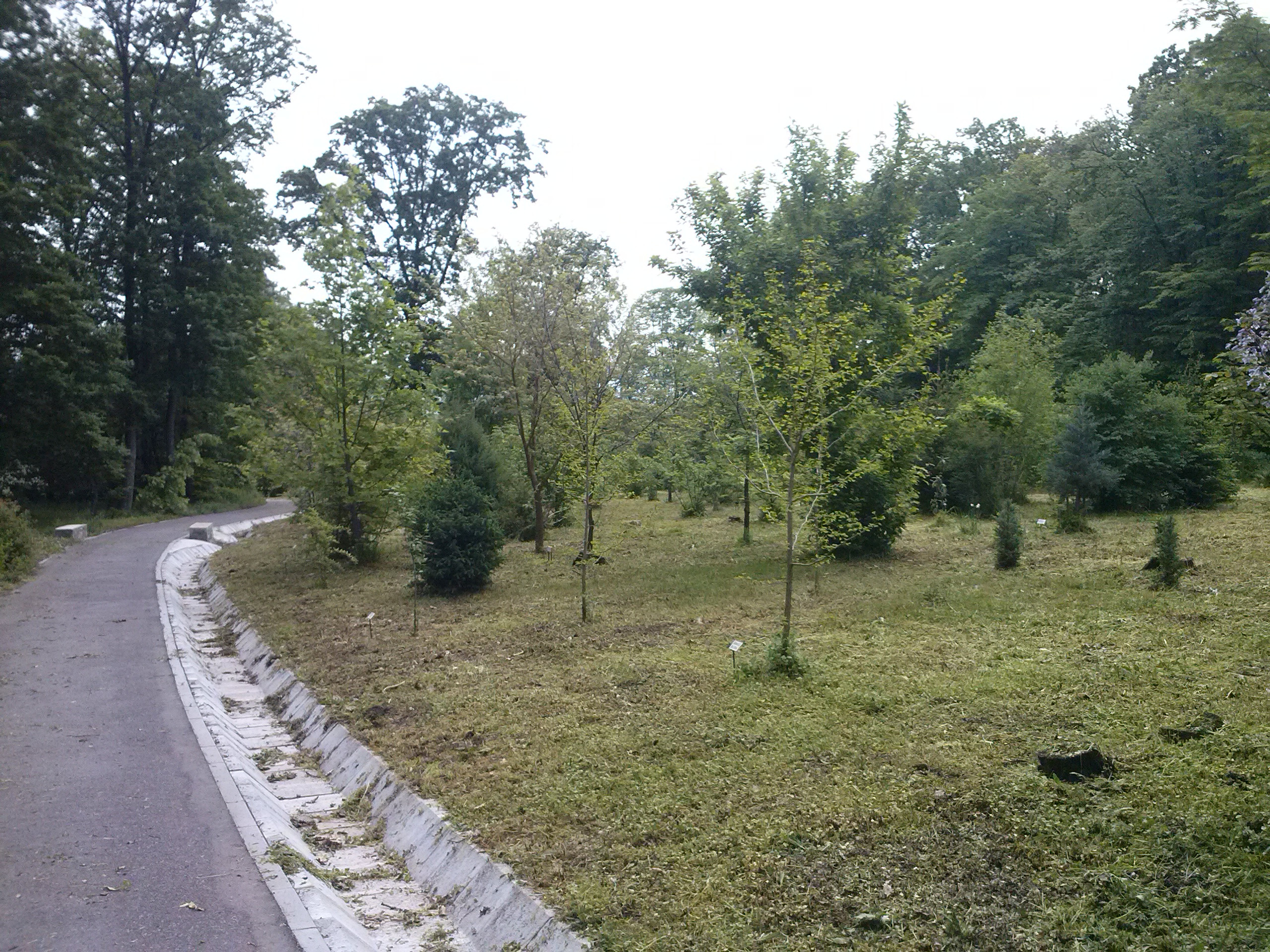 Parcul dendrologic “Dr. Ioan Vlad” din Alba Iulia a fost deschis oficial vizitatorilor