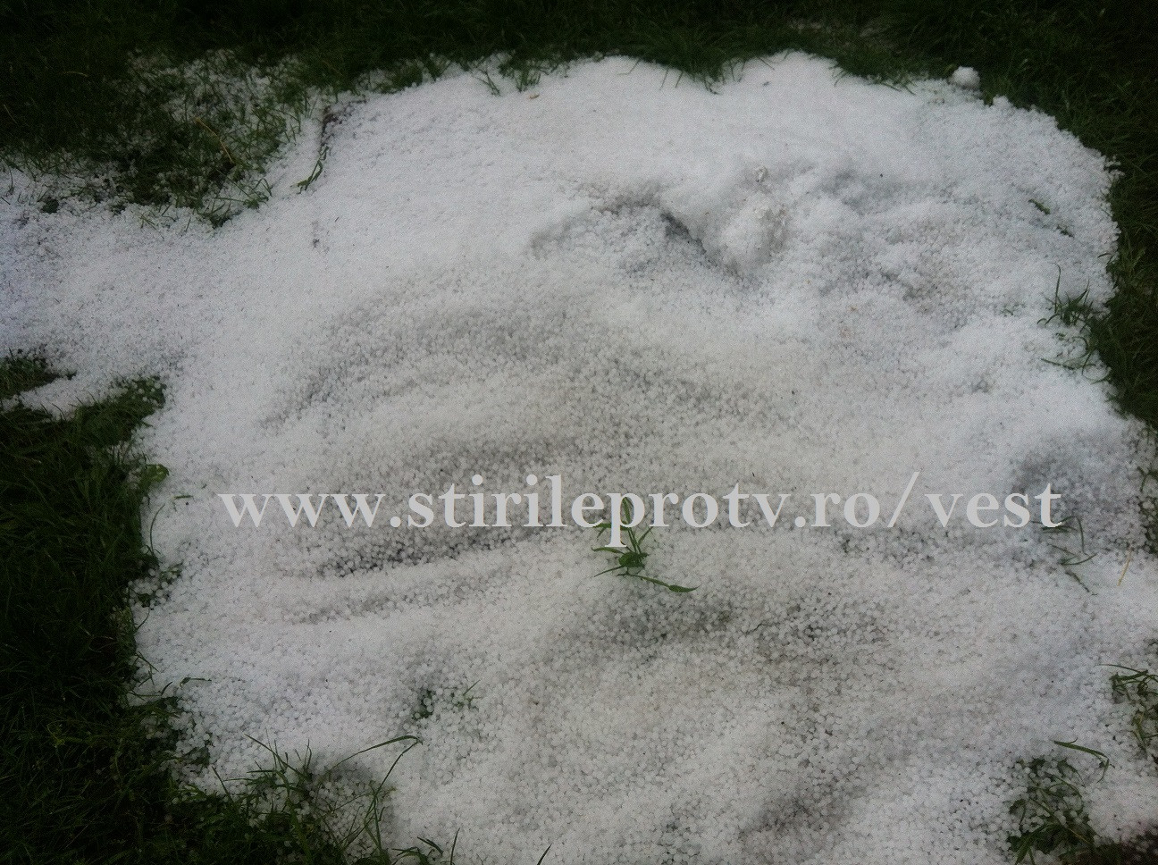 Grindina la Timisoara! O ploaie torentiala a acoperit strazile de gheata in Calea Sagului. FOTO