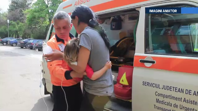 Un roi de albine a bagat in spital 7 oameni, in Vaslui. Un copil este in stare grava din cauza veninului