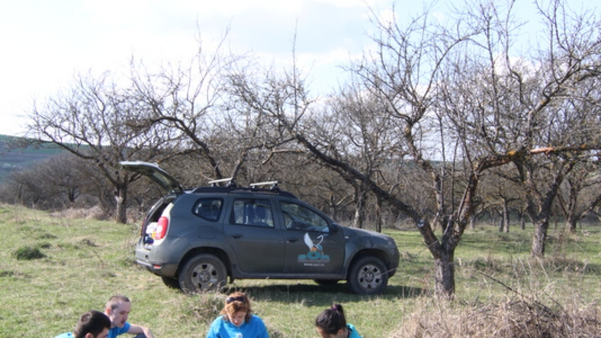 Cuiburi pentru pasarile Clujului. Societatea Ornitologica Romana a amplasat peste 1.000 de cuiburi artificiale in judet