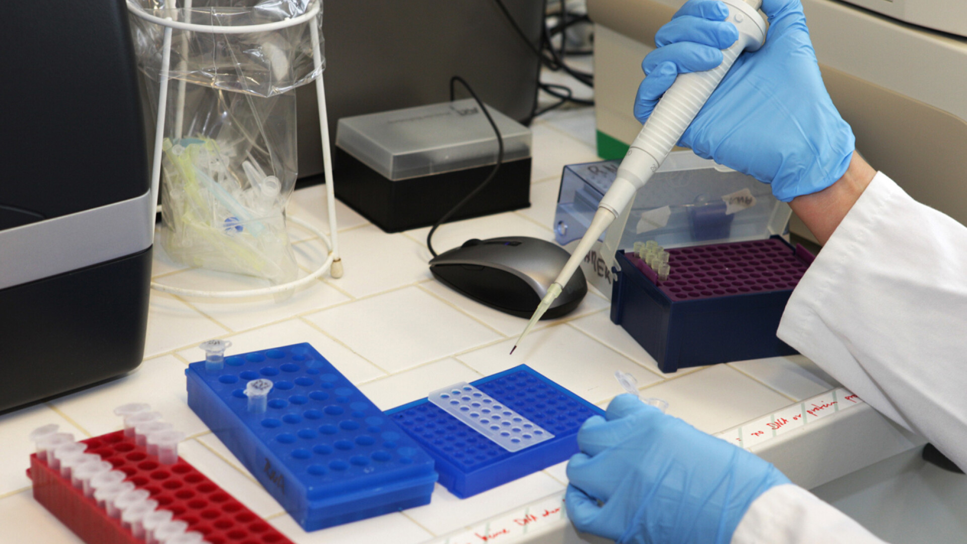 cercetator vaccin boli