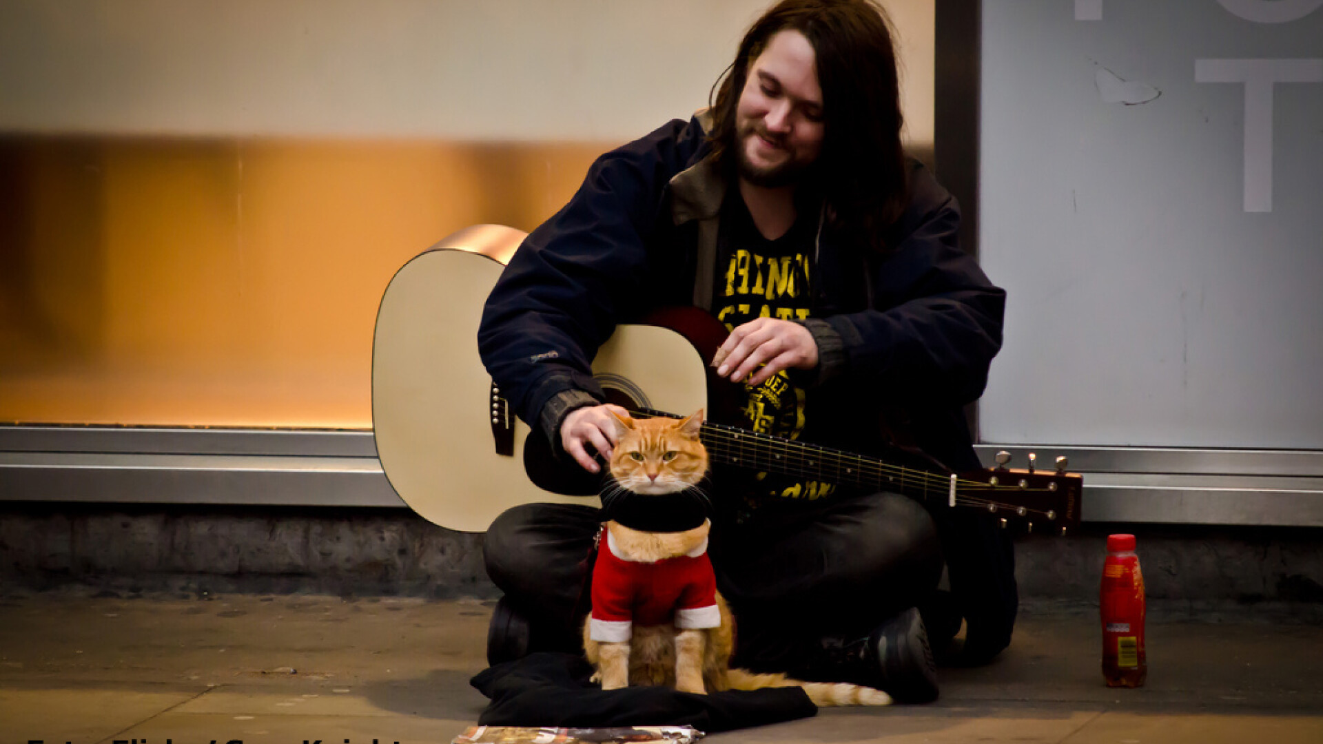 O pisica l-a scapat de droguri si de saracie. Acum e bogat si celebru