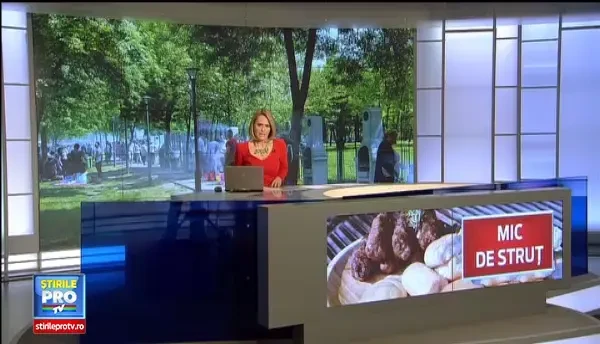 Romanii si-au diversificat gusturile si poftesc la mititei din strut si vanat. Cat platesc pentru aceste