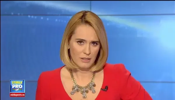 Au scapat la limita de o moarte ingrozitoare. Un roi de albine furioase a atacat 5 adulti si un copil