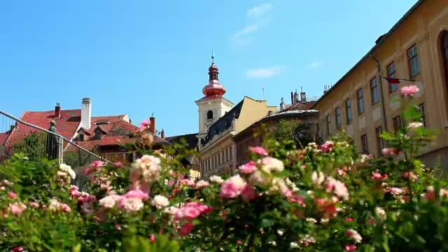 Aproape 9.000 de elevi din Sibiu invata in scoli si gradinite revendicate sau retrocedate