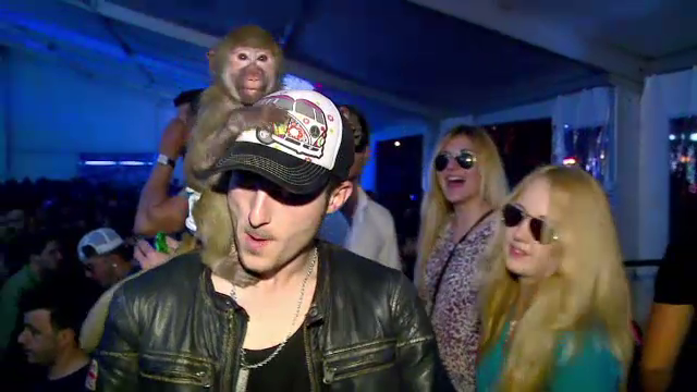 "Agat cu maimuta, masina nu mai are valoare". Un tanar schimba moda cluburilor din Mamaia, in ultima noapte de distractie