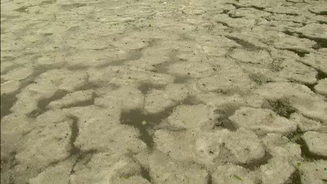 inundatii bucuresti