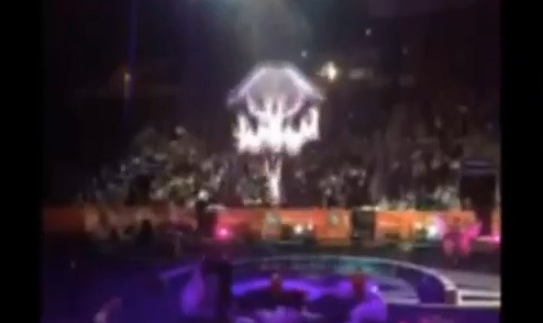 Opt acrobate au cazut de la 12 metri inaltime, intr-un circ din SUA. Accidentul a fost filmat de un spectator. VIDEO