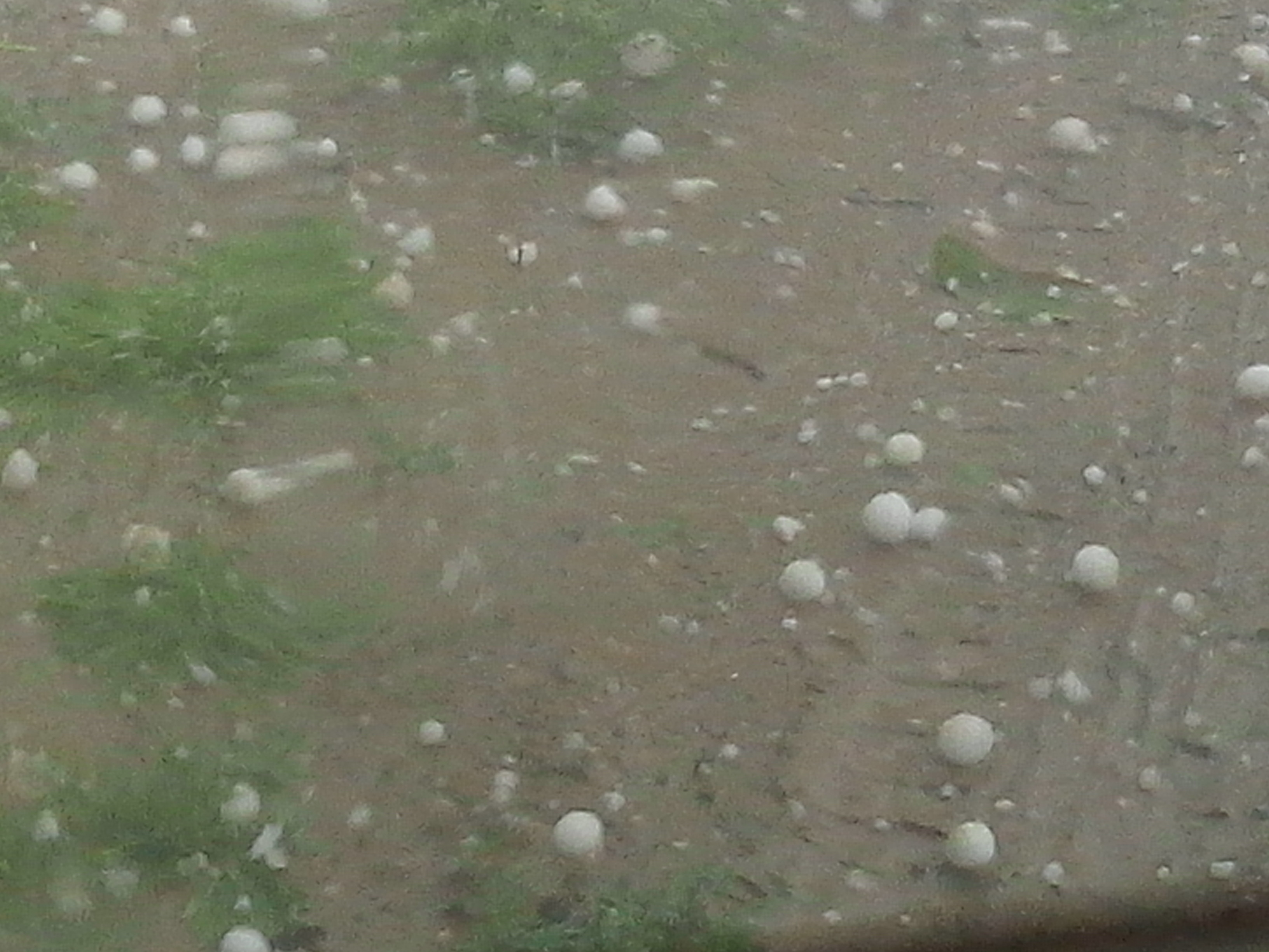 Imagini cu grindina de pe strazile din Romania, trimise de utilizatorii www.stirileprotv.ro - 2