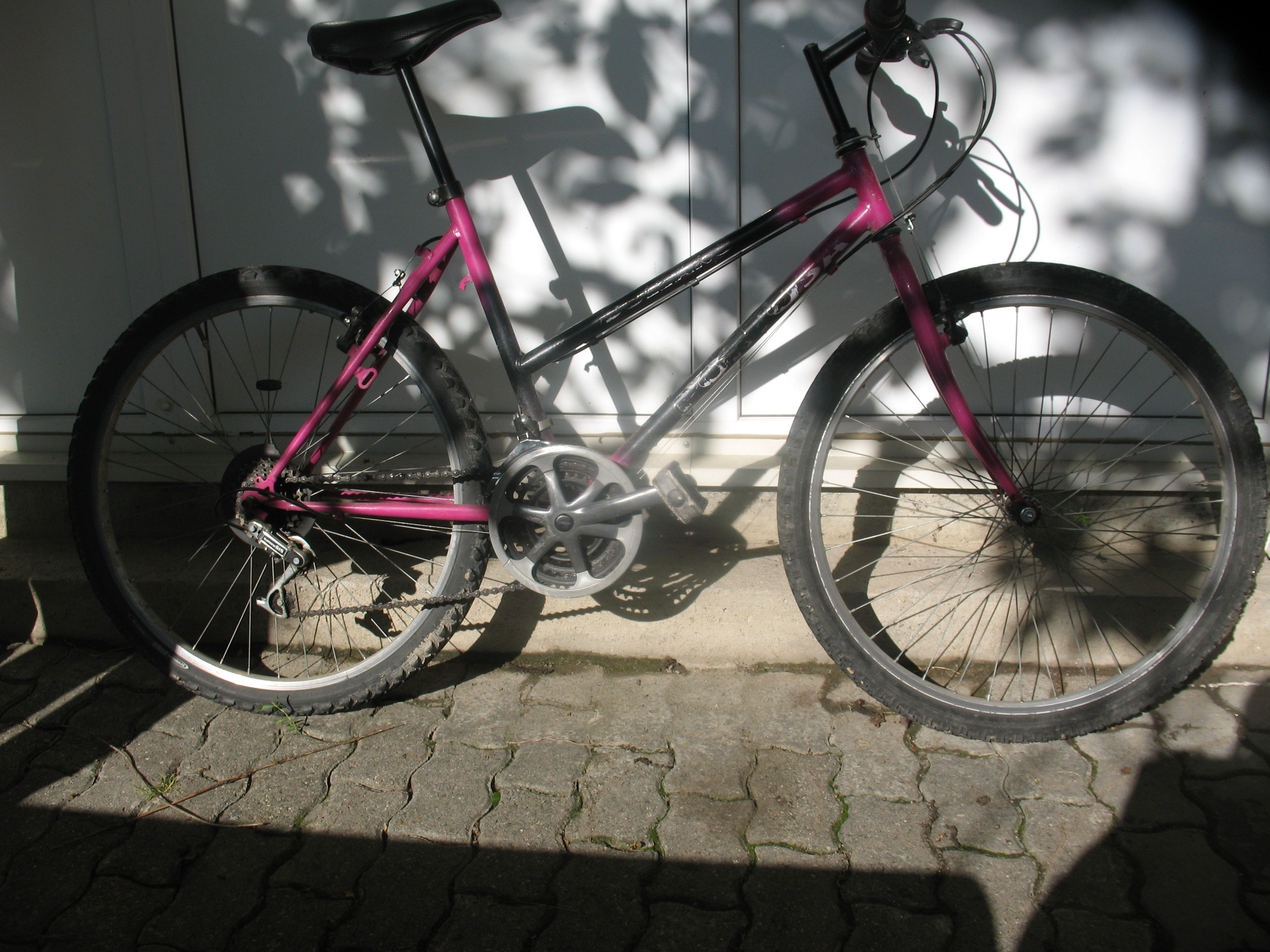 Minori prinsi de politisti in timp ce incercau sa vanda intr-o piata din Timisoara doua biciclete furate