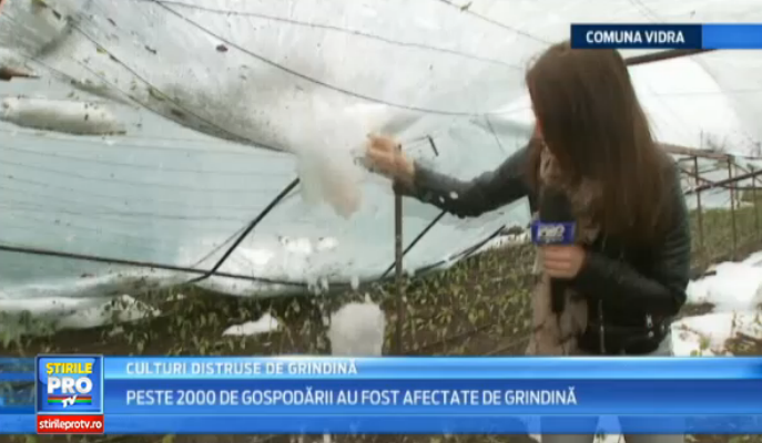 Grindina a produs un adevarat dezastru la marginea Capitalei. Solariile, puse la pamant de gheata "cat oul de prepelita"