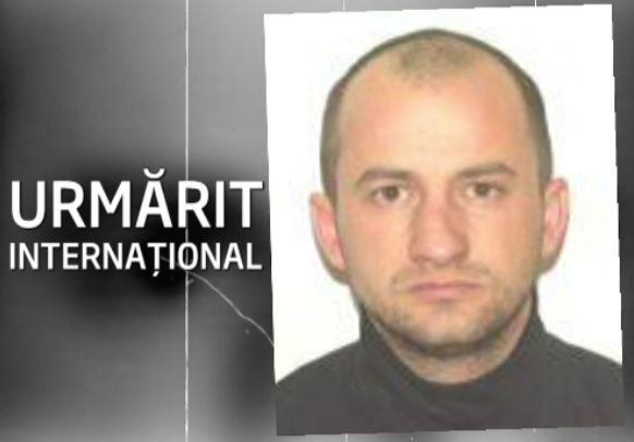 Urmarit international