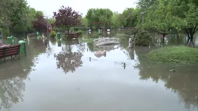 Case fara acoperisuri, scoli inundate si masini distruse. Pagubele de sute de mii de euro provocate de furtuna din Capitala