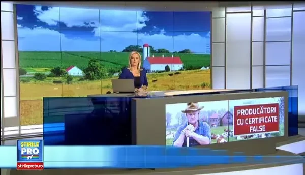 Dupa 2 ani de la un reportaj ProTV, incepe ancheta la Primaria din Jilava. Cine raspunde pentru mafia speculantilor din piete