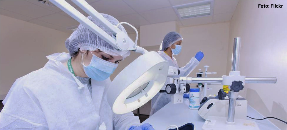 autopsie, medici legisti