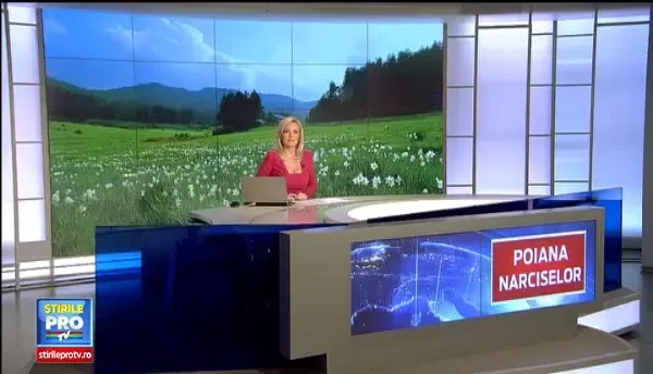 Coltul de rai din Muntii Fagaras. Cum arata in luna mai Poiana Narciselor, locul laudat in documentarul Wild Carpathia