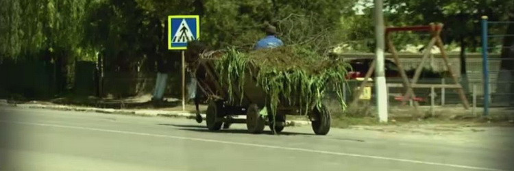 Lectiile de Ziua Europei, predate in satul lui Nea Marin si Nea Iancu: "Daca ma da la ProTV, sa ma dea cu sticla in brate"