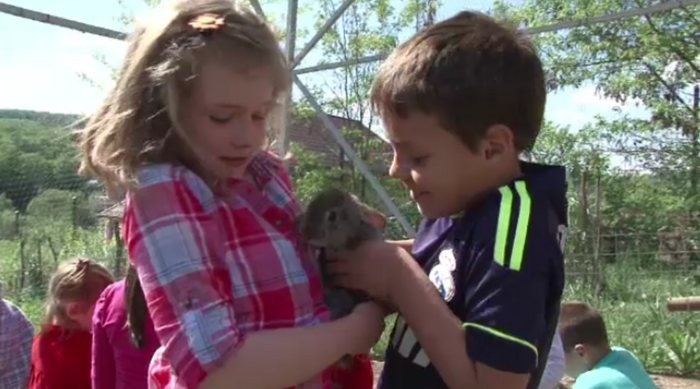 Gradinite alternative in Romania. Pe langa educatie, copiii au sansa de a cunoaste animalele si de a planta legume