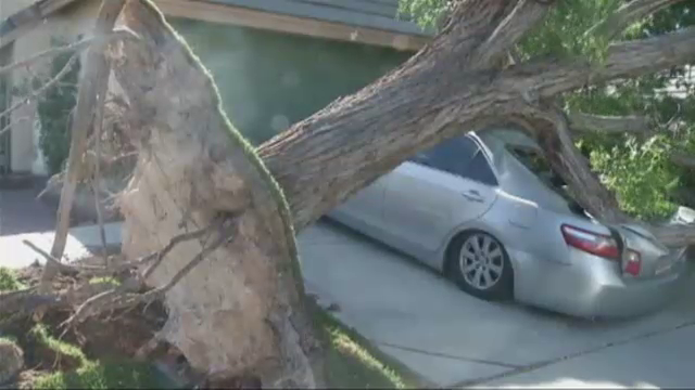 Tornade distrugatoare si ninsori puternice. Vremea rea a facut 35 de victime in Statele Unite