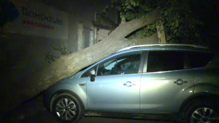 Scandal in Bucuresti dupa ce un copac a cazut peste doua masini. A fost nevoie de interventia politistilor