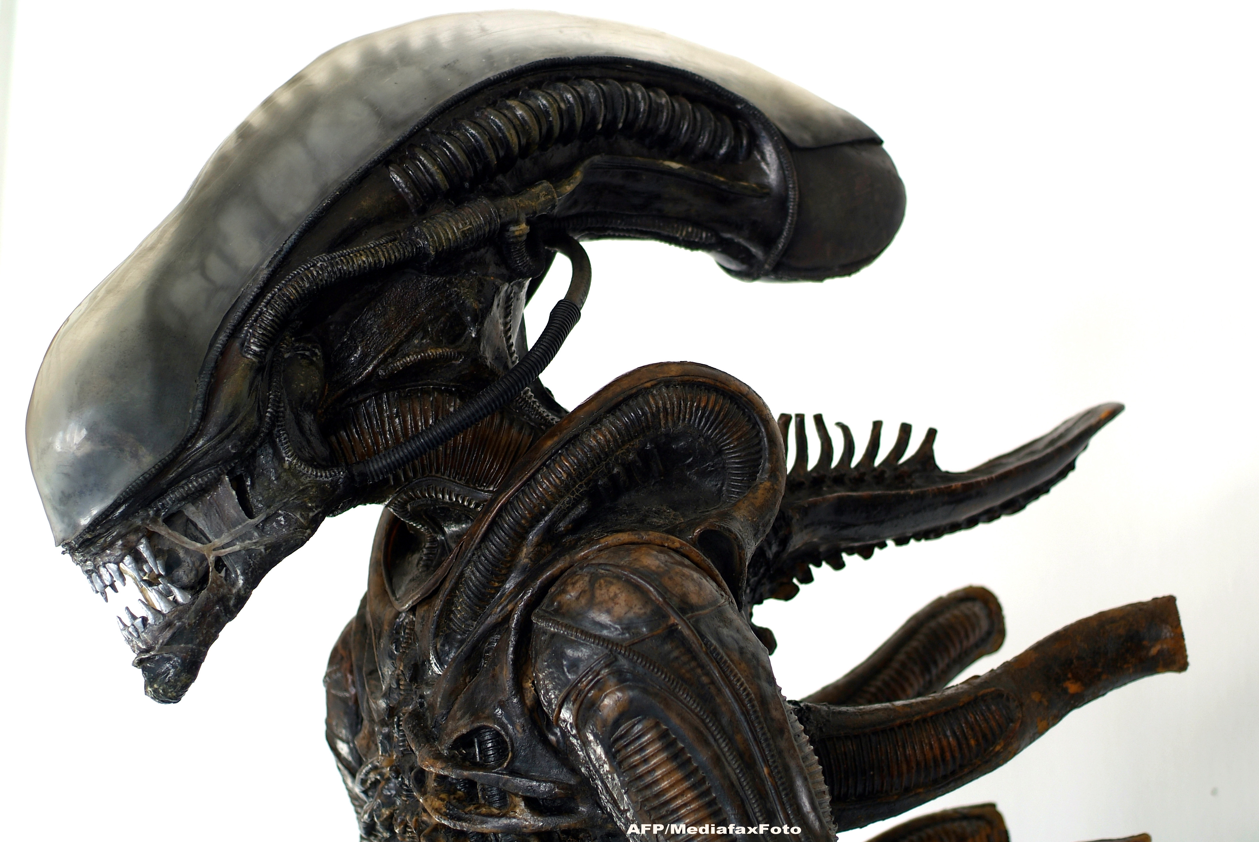 H.R. Giger, creatorul monstrului din seria Alien, a murit la 73 de ani. Artistul a decedat in urma unui accident