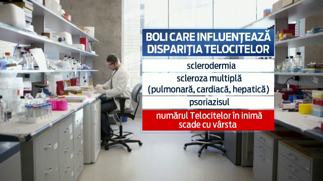 Boli care influenteaza disparitia telocitelor