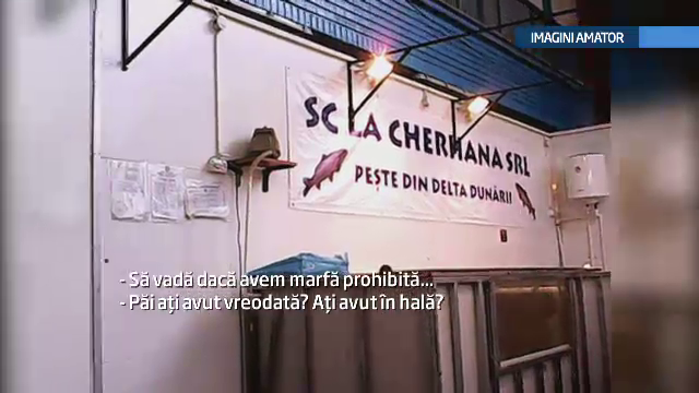 CAMERA ASCUNSA. Braconierii pun in farfuriile romanilor specii aflate pe cale de disparitie. Afacerea cu sturioni si calcani