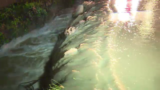 Prapad facut in Arges de o rupere de nori. Viitura a lasat in urma curti inundate si sute de animale moarte