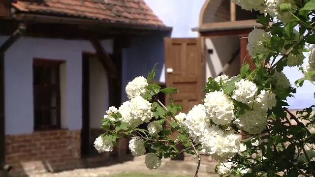 Povestea de succes a satului Viscri. Localnicii își permit vacanțe în străinătate