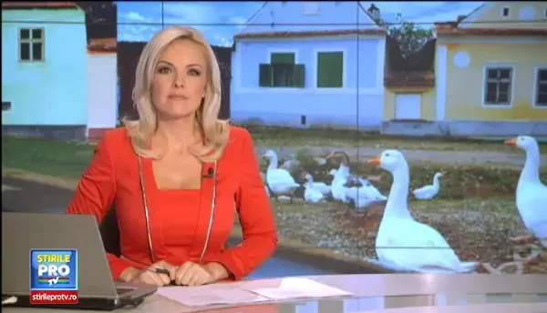 Exemplu printului Charles, urmat de satenii din Ardeal. Casa din Viscri, obiect de studiu pentru un proiect de restaurare