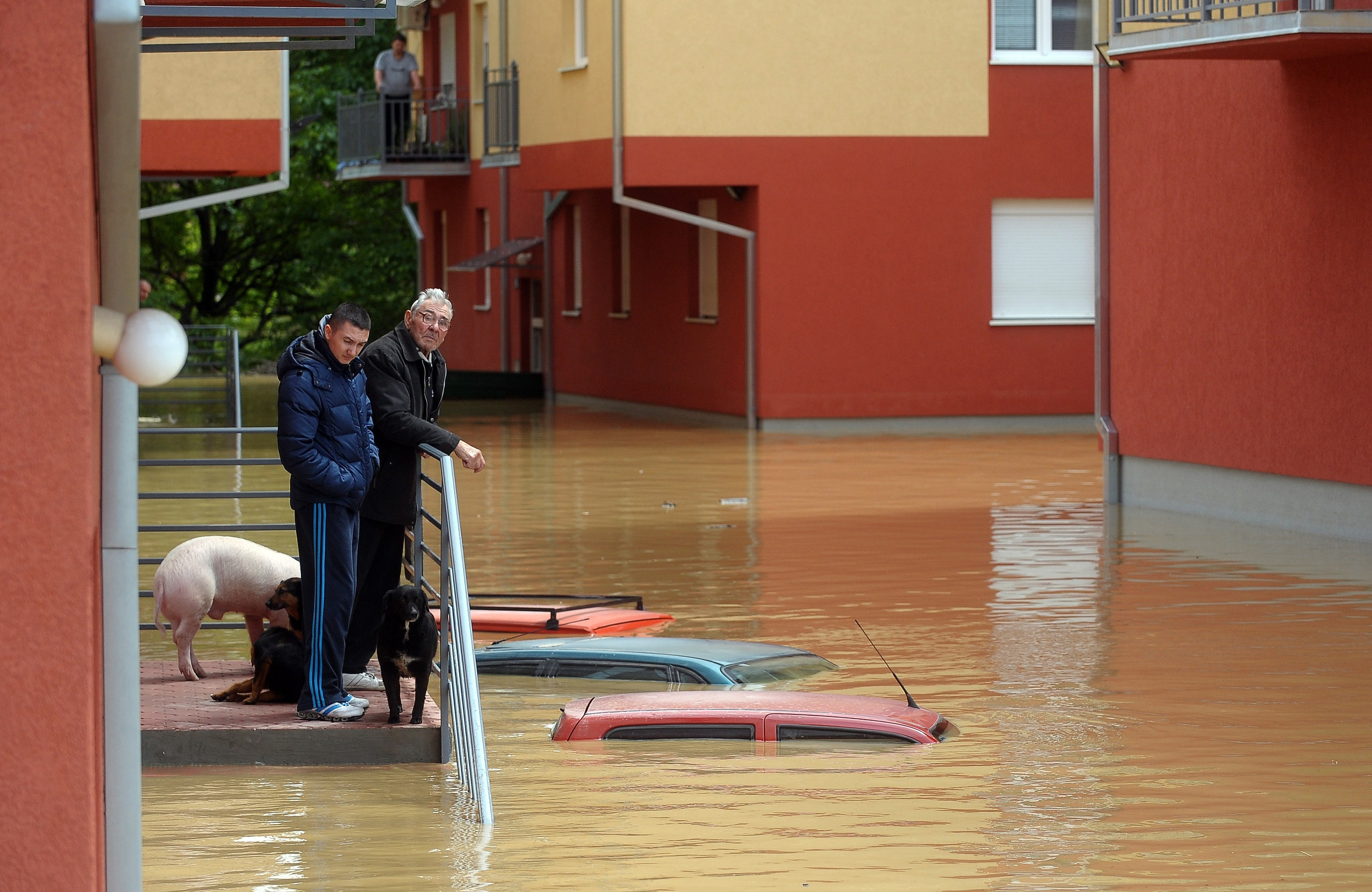 Inundatiile record din Balcani au facut peste 44 de morti si mii de sinistrati. In Bosnia a plouat in 3 zile cat in 3 luni