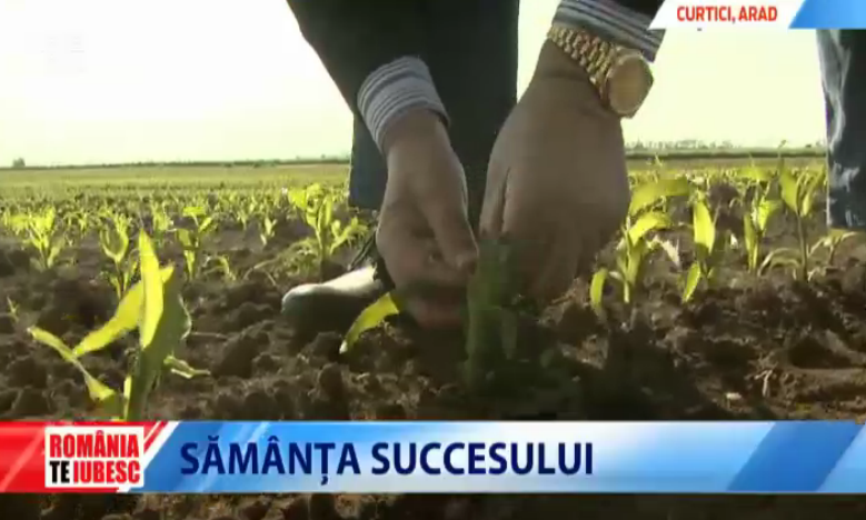 "Fara pamanturi, vom plange". Cum a devenit cel mai prost CAP comunist cea mai profitabila ferma capitalista