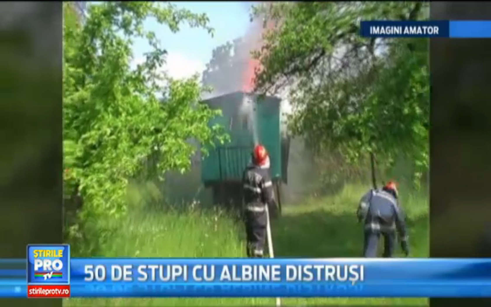 Afacere cu miere facuta scrum. Proprietarul stupilor a suferit un atac de panica si a ajuns la spital