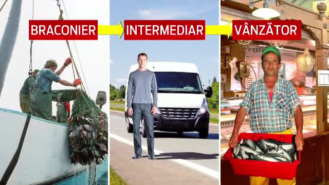 Culise din lumea braconierilor care au distrus sturionii salbatici. Doar Romania, Iran si Rusia produc si exporta caviar