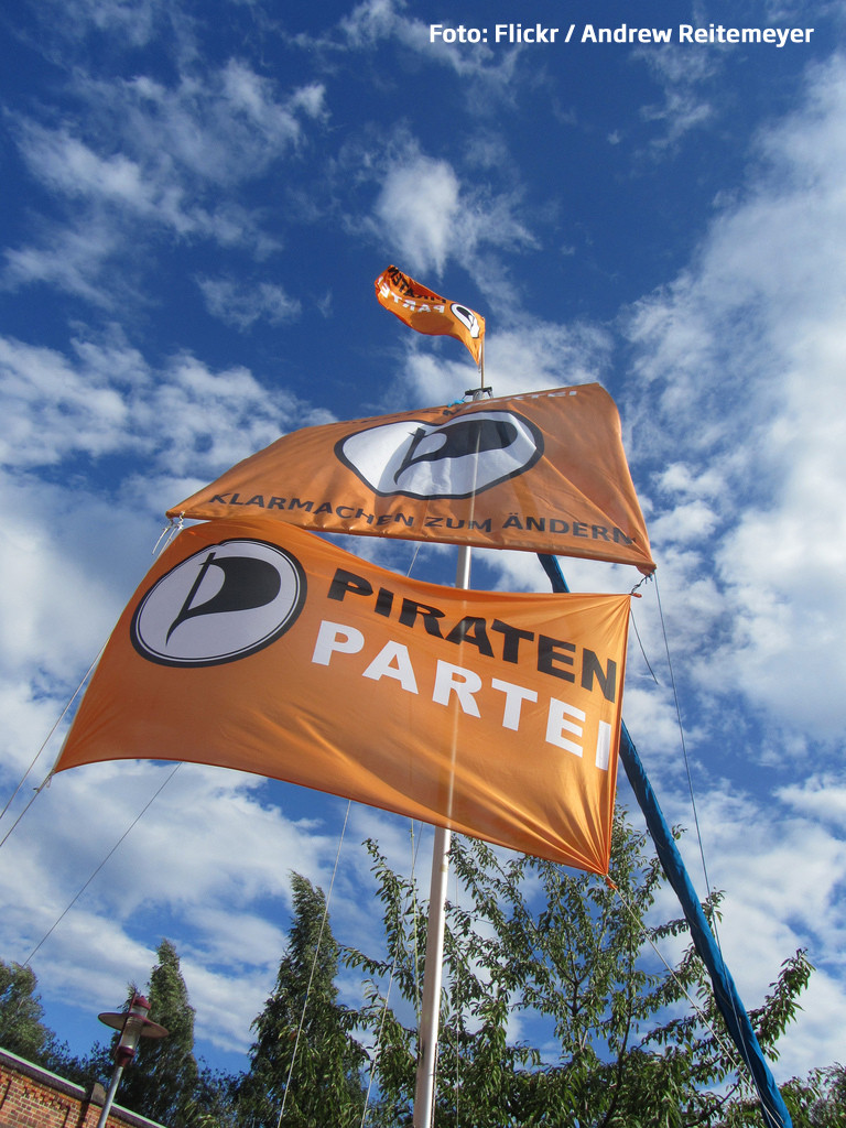 steag partidul piratilor Germania