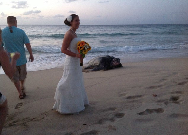 Aparitia neasteptata la o nunta. S-au trezit cu un exemplar pe cale de disparitie printre invitati. FOTO