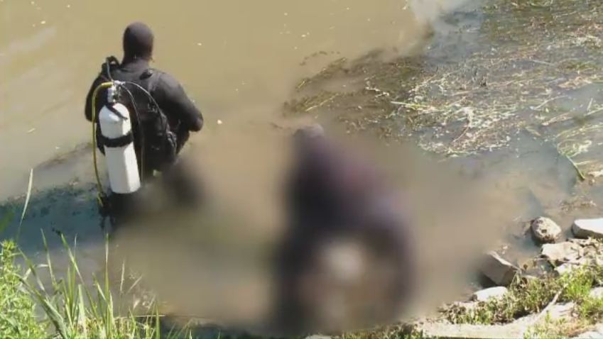 Deznodamant tragic pentru un tanar din Timisoara, dat disparut marti. Adolescentul a fost gasit fara viata, in raul Bega