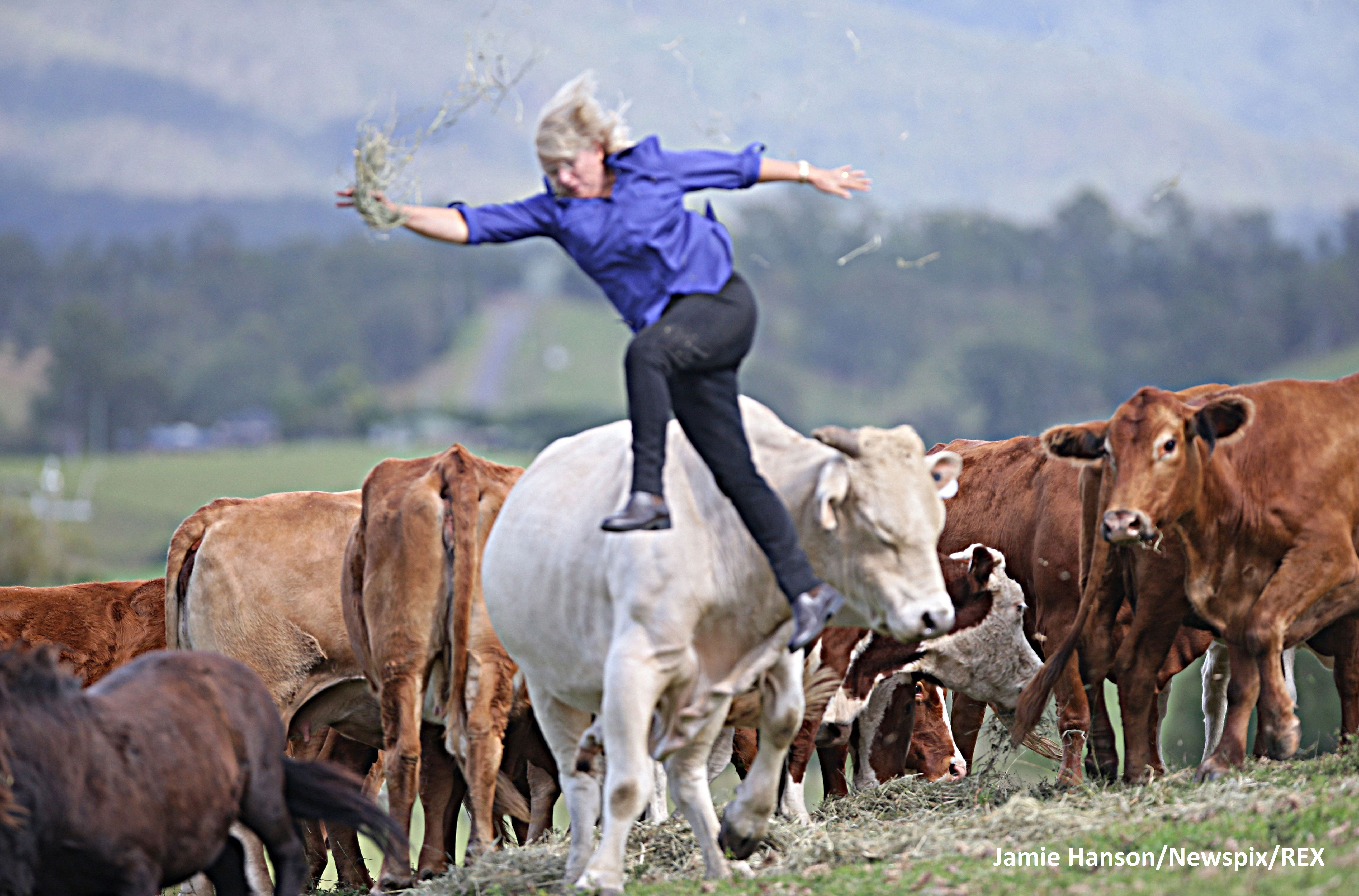 O femeie a fost aruncata doi metri in aer de un taur furios