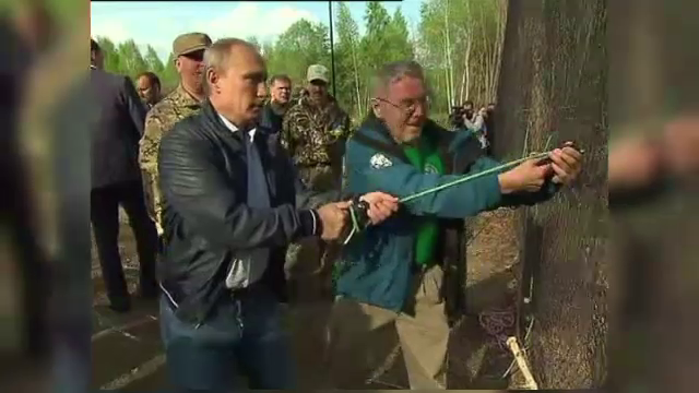 Vladimir Putin a eliberat doi tigri de Amur. Televiziunea nationala a transmis intregul moment