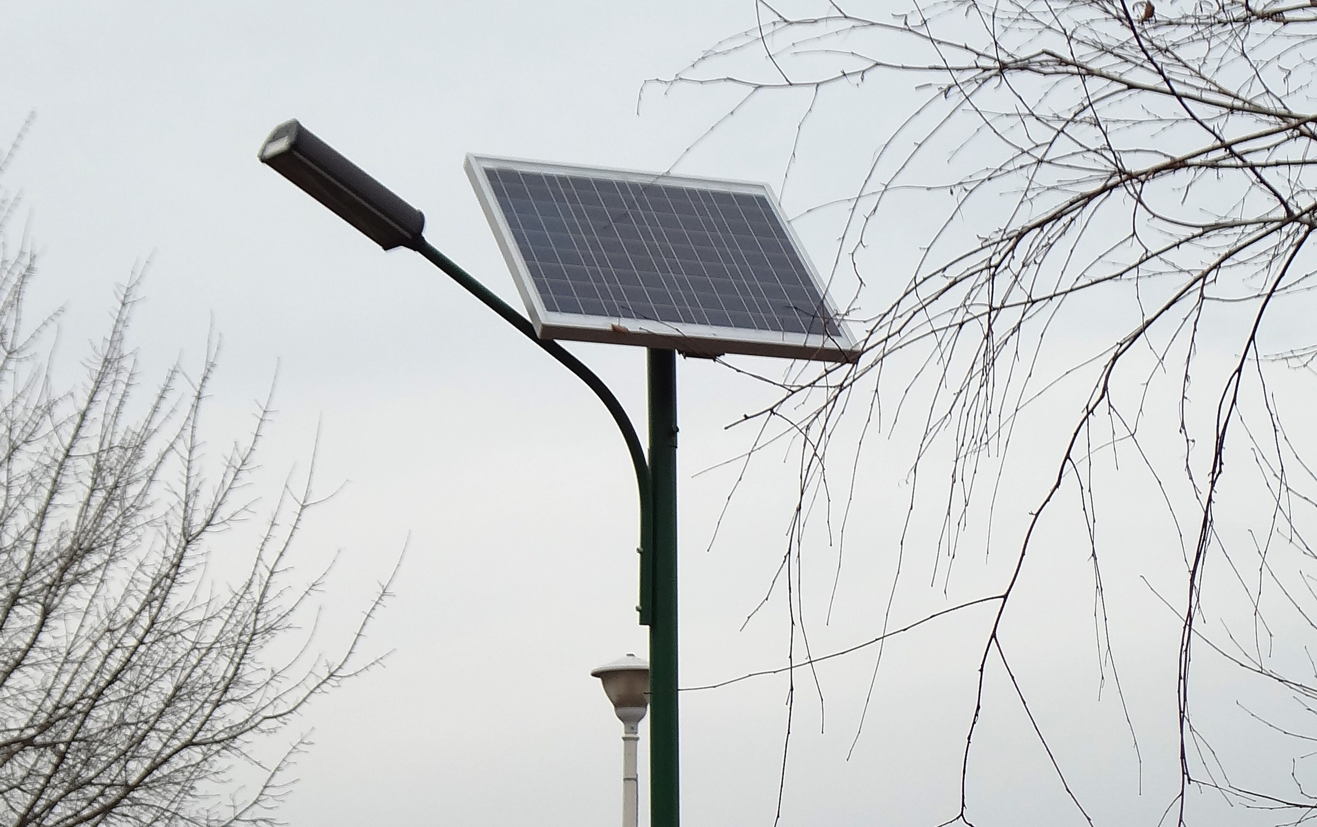 Bateriile din cupru ale lampilor solare, noua tinta a hotilor din Arad. Ce pagube au facut acestia