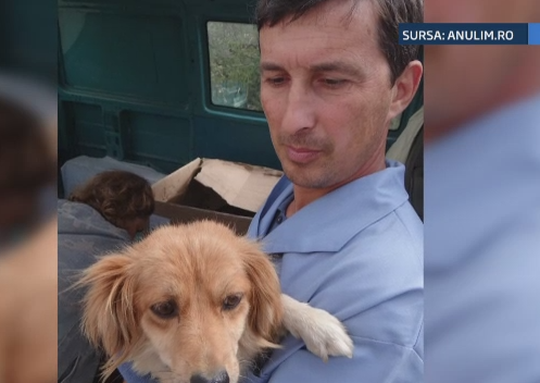 Cea mai mare pasiune a unui medic veterinar din Pitesti i-a adus sfarsitul. Barbatul s-a inecat la pescuit