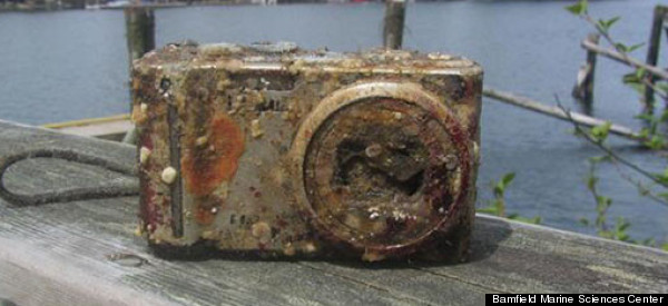 Surpriza avuta de doi studenti care au gasit o camera foto pe fundul oceanului. Pozele de pe aparat erau intacte