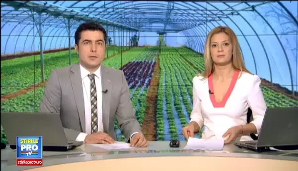 Marius Boroi, omul care a plantat bani europeni in Gradina din Constanta: Sa iei 25.000 de euro, bani gramada, e mare lucru