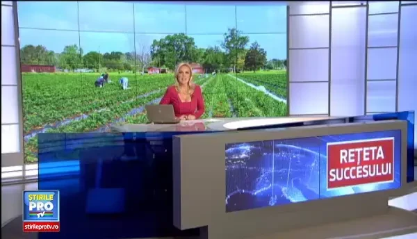 Linda si Daniel Bran, romanii care au furat de la italieni secretul unei afaceri de succes, dupa ce i-au cucerit cu sarmalele