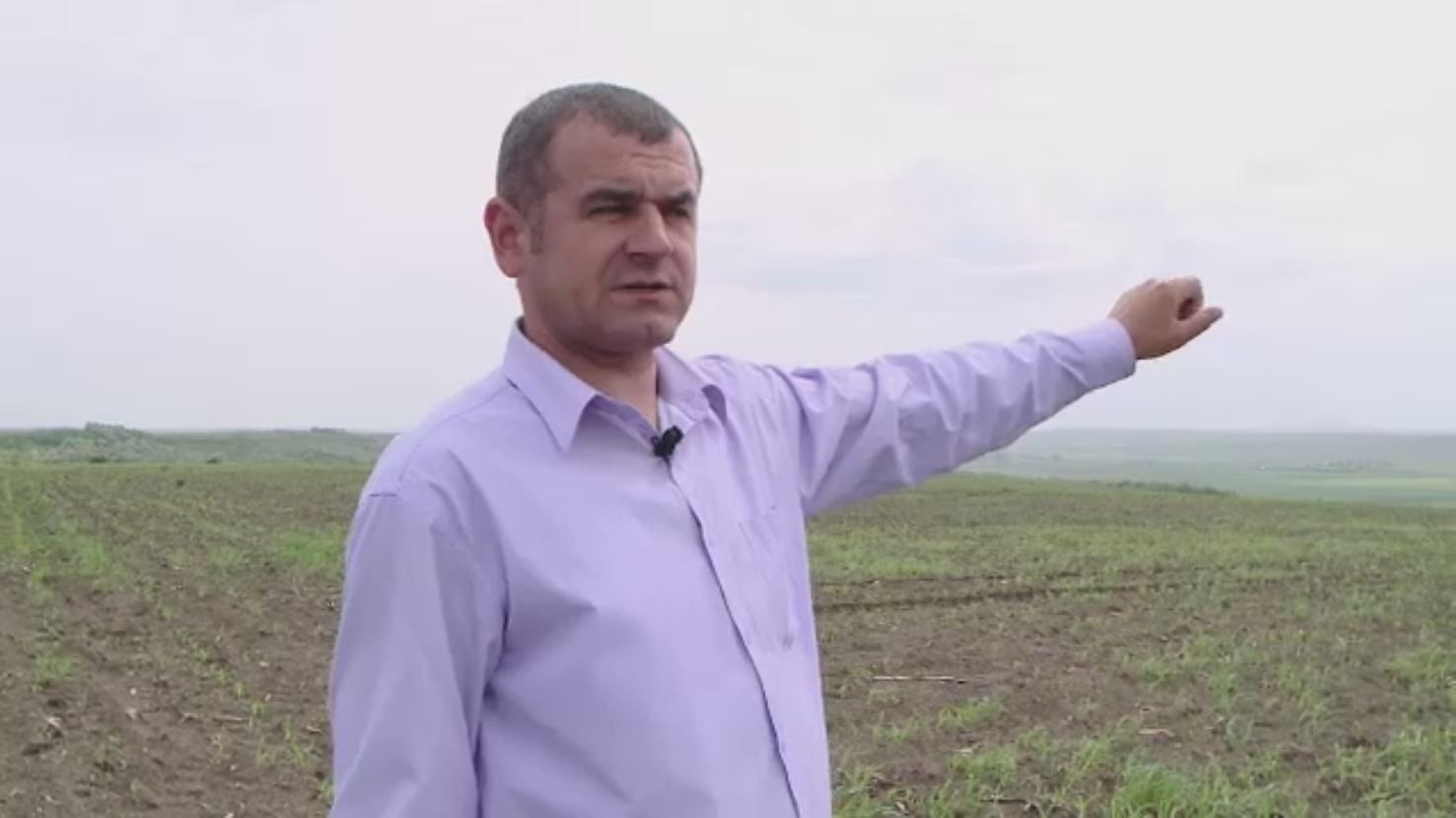 Comuna din Iasi unde somajul este o amintire urata de cand Romania a intrat in UE. Cum fac localnicii bani din agricultura