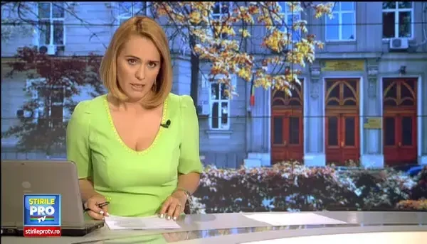 Sorin Blejnar, audiat pentru prima data dupa ce sotii Diana si Radu Nemes au fost extradati din Statele Unite